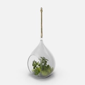 بنطالون كلاسيك بنى , إسليم